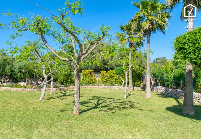 Chalet en Alcúdia - Figueral Chalet en Alcúdia - Figueral