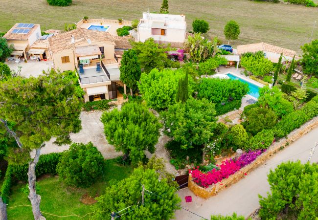 Finca en Alcúdia - C301 Tito y Yaya by Mallorca Villa Selection Finca en Alcúdia - C301 Tito y Yaya by Mallorca Villa Selection