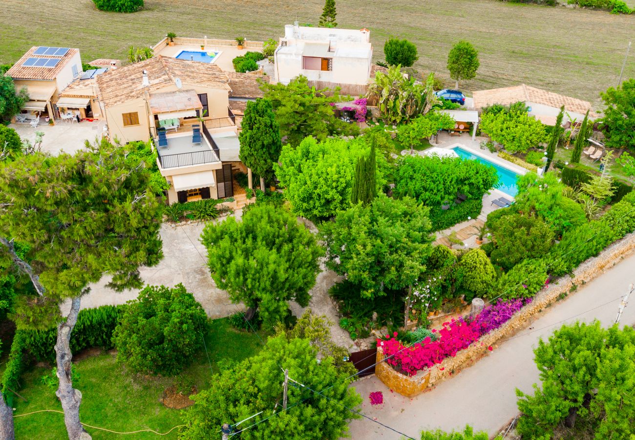 Finca en Alcúdia - C301 Tito y Yaya by Mallorca Villa Selection Finca en Alcúdia - C301 Tito y Yaya by Mallorca Villa Selection