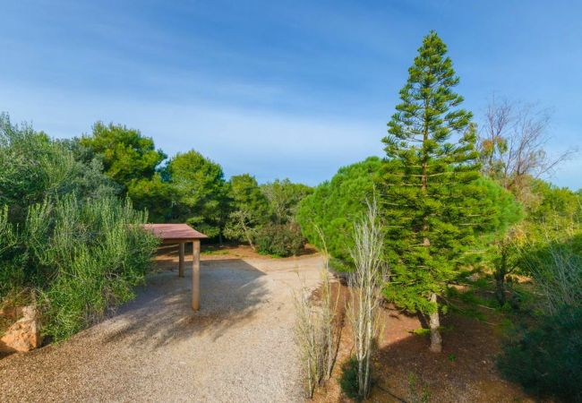 Finca en Santanyi - C293 Es Figueral by Mallorca Villa Selection Finca en Santanyi - C293 Es Figueral by Mallorca Villa Selection