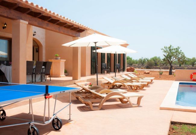 Finca en Santanyi - C295 Xorca by Mallorca Villa Selection Finca en Santanyi - C295 Xorca by Mallorca Villa Selection