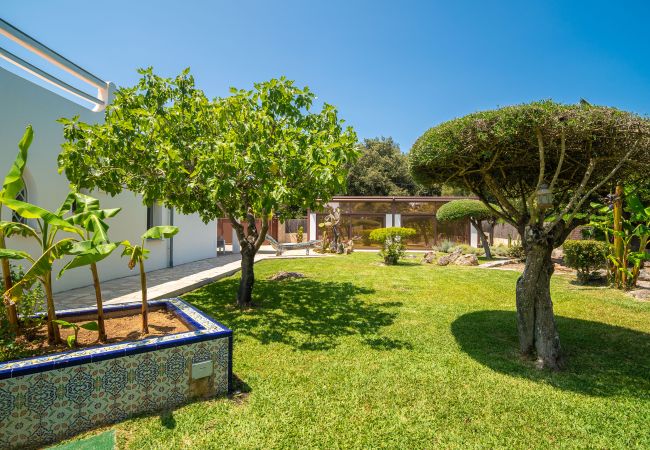 Villa à Sa Pobla - E006 Son Forteza by Mallorca Villa Selection Villa à Sa Pobla - E006 Son Forteza by Mallorca Villa Selection