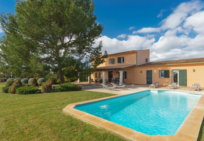 Villa in Binissalem - Melchor Villa in Binissalem - Melchor