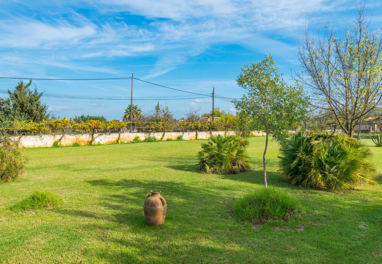 Country house in Selva - C111 Sa Vinyeta by Mallorca Villa Selection Country house in Selva - C111 Sa Vinyeta by Mallorca Villa Selection