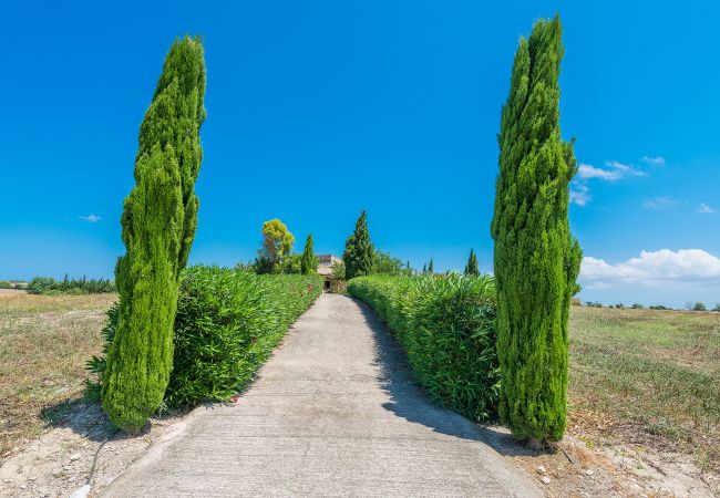 Country house in Santa Margalida - E198 Son Fum by Mallorca Villa Selection Country house in Santa Margalida - E198 Son Fum by Mallorca Villa Selection