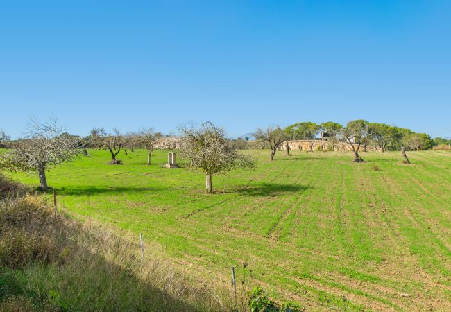 Country house in Santa Margalida - C270 Son Vado by Mallorca Villa Selection Country house in Santa Margalida - C270 Son Vado by Mallorca Villa Selection