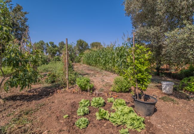 Country house in Cala Romantica - C363 Can Llorenc by Mallorca Villa Selection Country house in Cala Romantica - C363 Can Llorenc by Mallorca Villa Selection