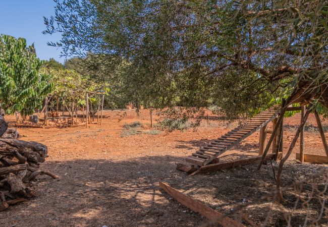 Country house in Cala Romantica - C363 Can Llorenc by Mallorca Villa Selection Country house in Cala Romantica - C363 Can Llorenc by Mallorca Villa Selection