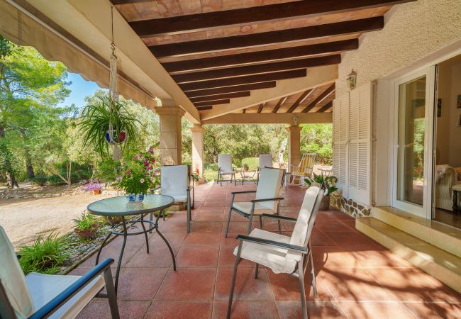 House in Alcudia - E430 Can Simo by Mallorca Villa Selection House in Alcudia - E430 Can Simo by Mallorca Villa Selection