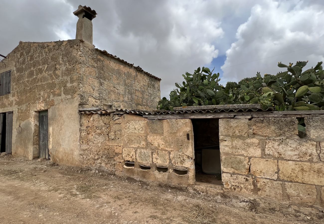 Cottage in Sa Pobla - Terreno con vivienda antigua entre Sa Pobla y Muro