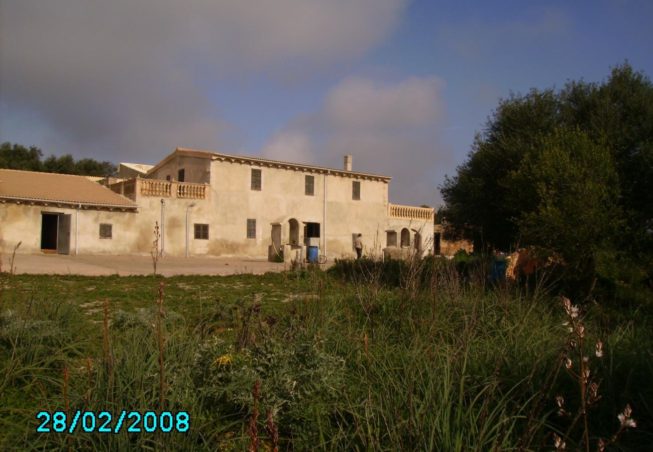 Finca en Petra - Finca rústica Petra