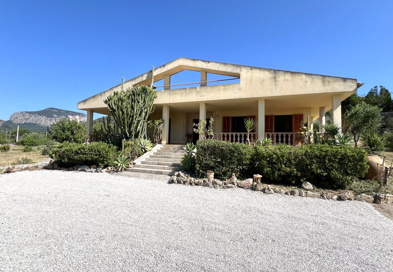 Finca en Lloseta - Finca rústica Lloiseta