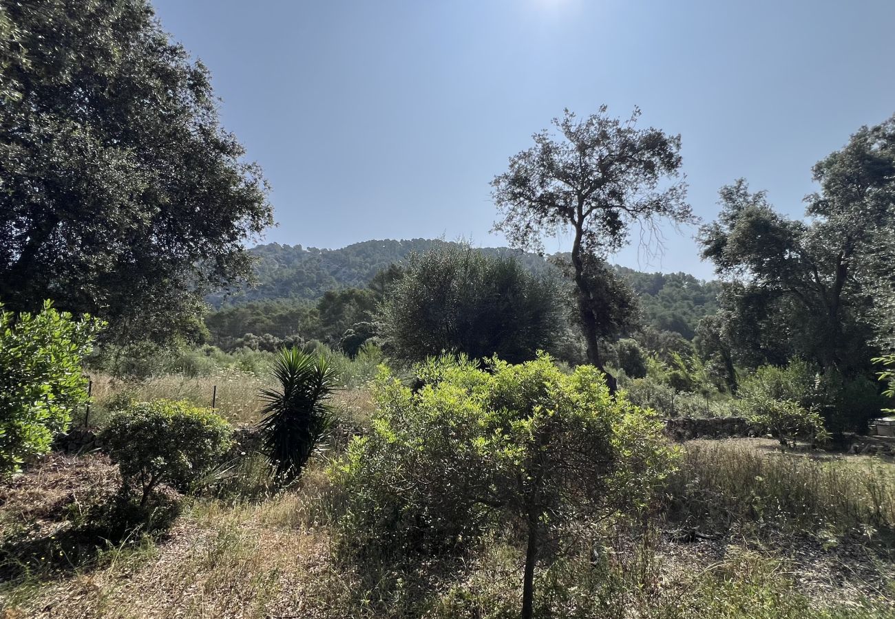 Parcela en Sa Pobla - Terreno en Son Toni con proyecto