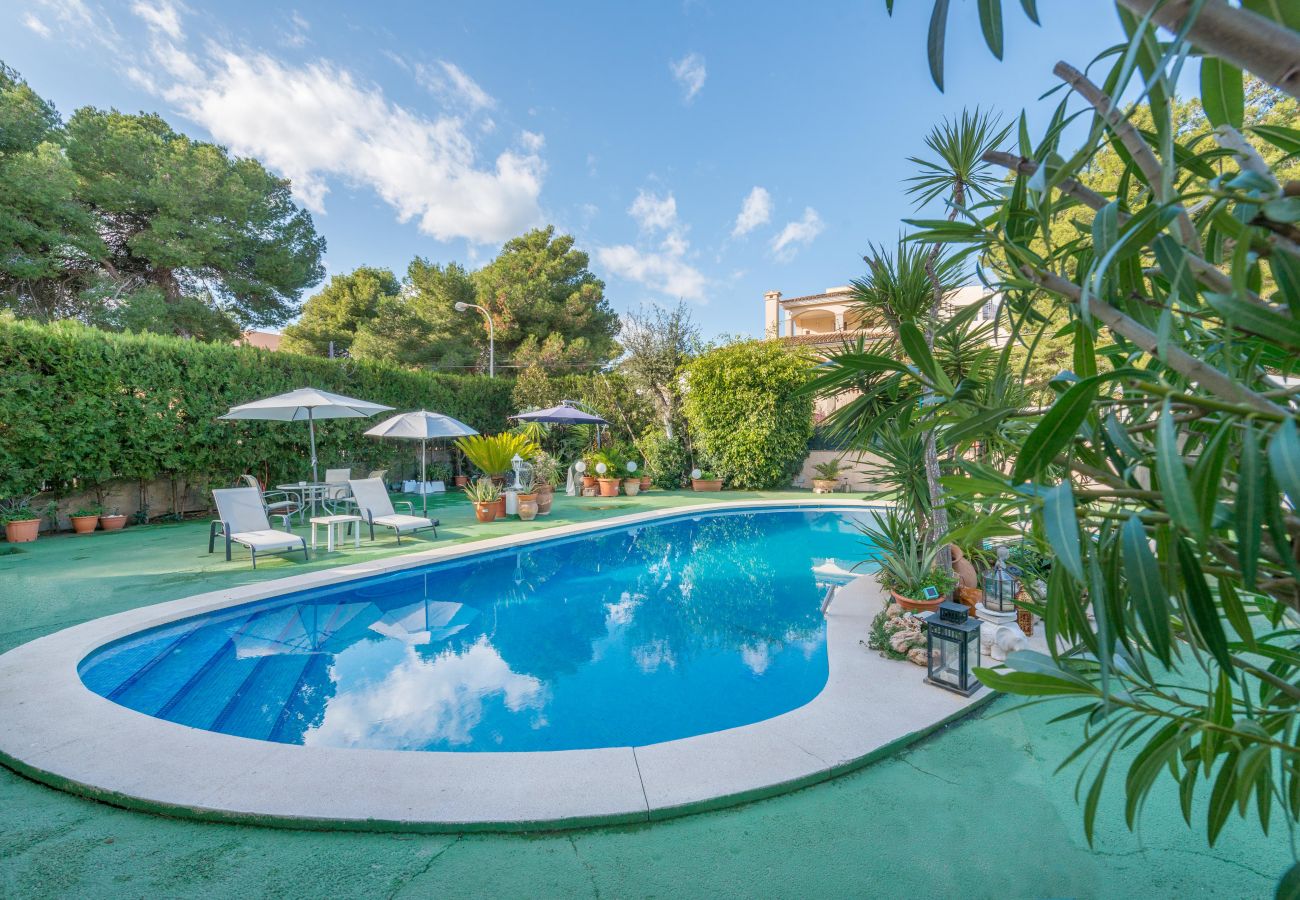 Complejo à Cala Ratjada - Villa Samu propiedad en Cala Ratjada