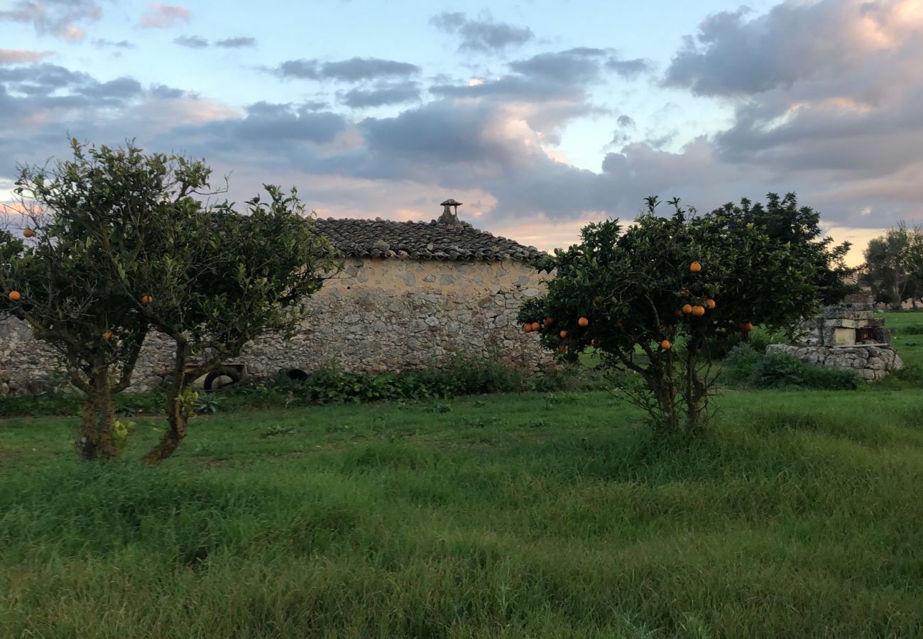Gîte Rural à Campanet - finca rústica campanet