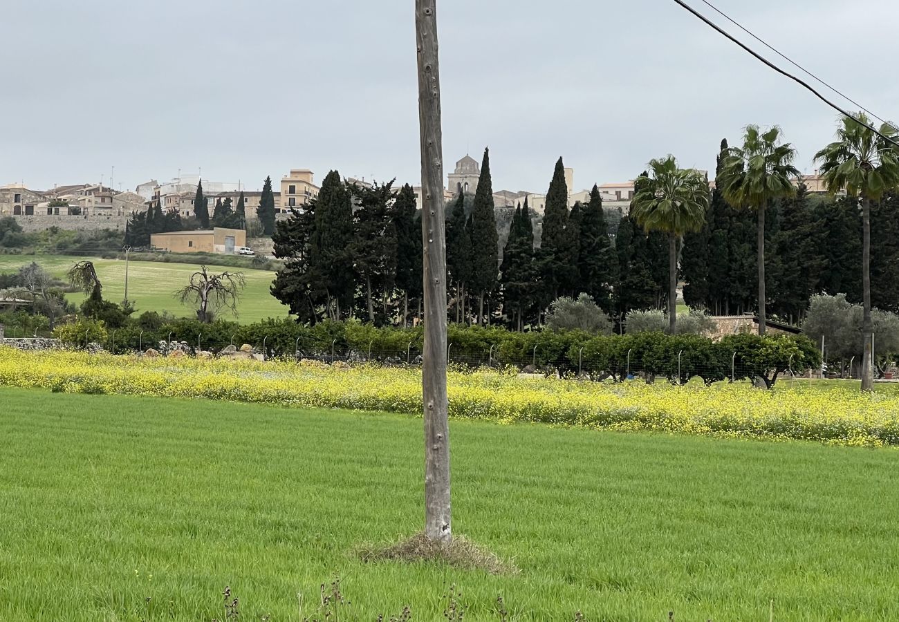Domaine à Muro - finca rústica en Muro con proyecto y licencia 