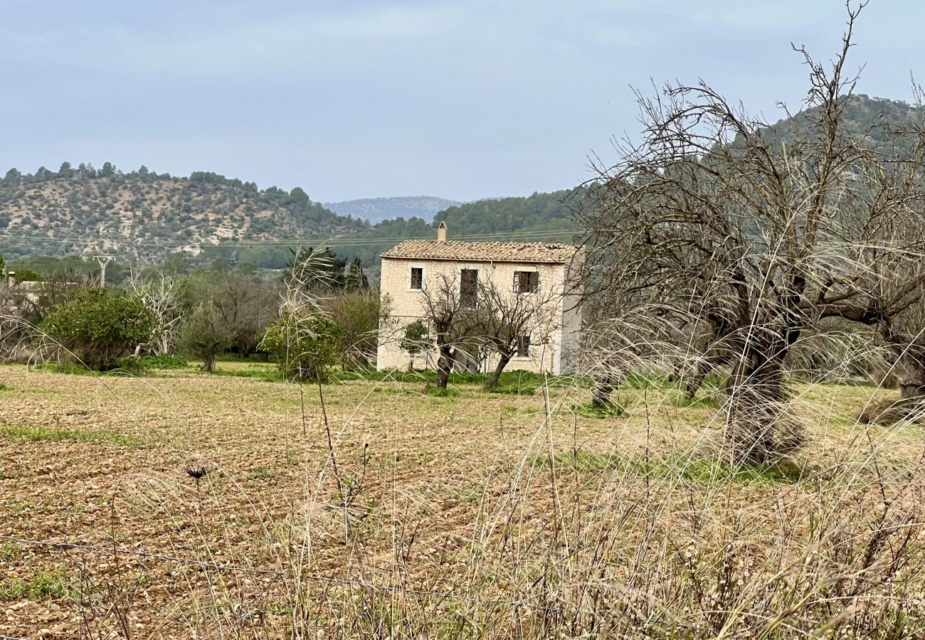 Landhaus in Binissalem - finca rústica en binissalem