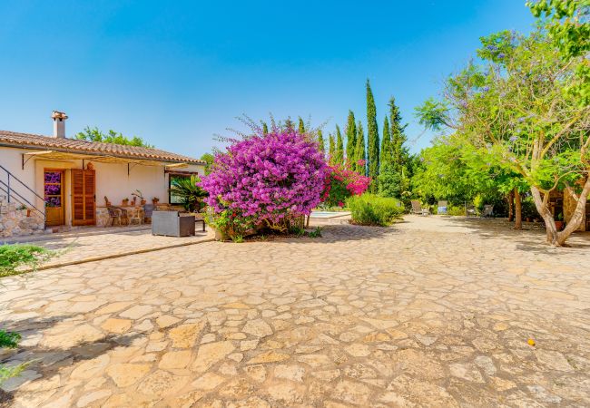Finca in Inca - C124 Porxet by Mallorca Villa Selection Finca in Inca - C124 Porxet by Mallorca Villa Selection