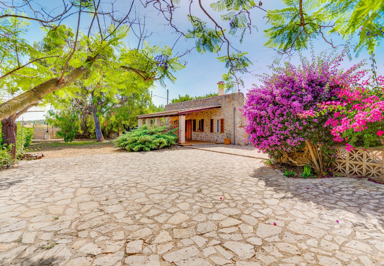 Finca in Inca - C124 Porxet by Mallorca Villa Selection Finca in Inca - C124 Porxet by Mallorca Villa Selection