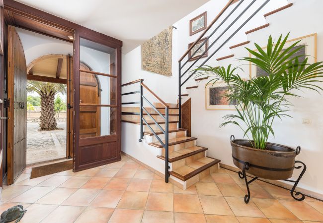 Finca in Arta - C162 El Molino by Mallorca Villa Selection Finca in Arta - C162 El Molino by Mallorca Villa Selection