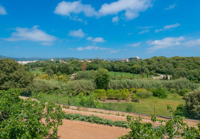 Finca in Arta - C162 El Molino by Mallorca Villa Selection Finca in Arta - C162 El Molino by Mallorca Villa Selection