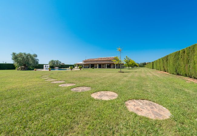 Finca in Sa Pobla - C203 Sant Vicens by Mallorca Villa Selection Finca in Sa Pobla - C203 Sant Vicens by Mallorca Villa Selection