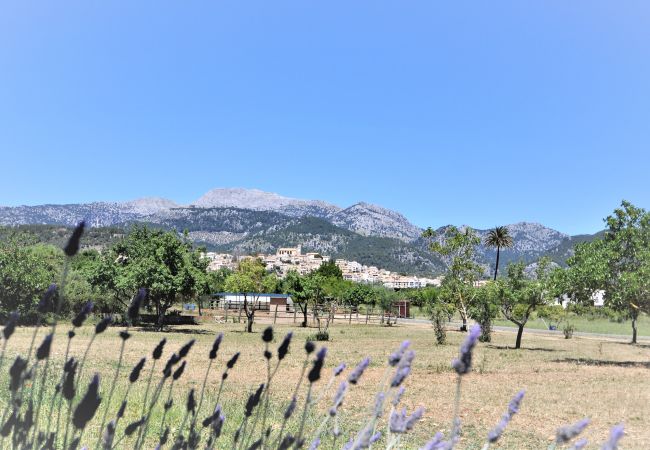 Finca in Selva - C277 Son Rubi by Mallorca Villa Selection Finca in Selva - C277 Son Rubi by Mallorca Villa Selection