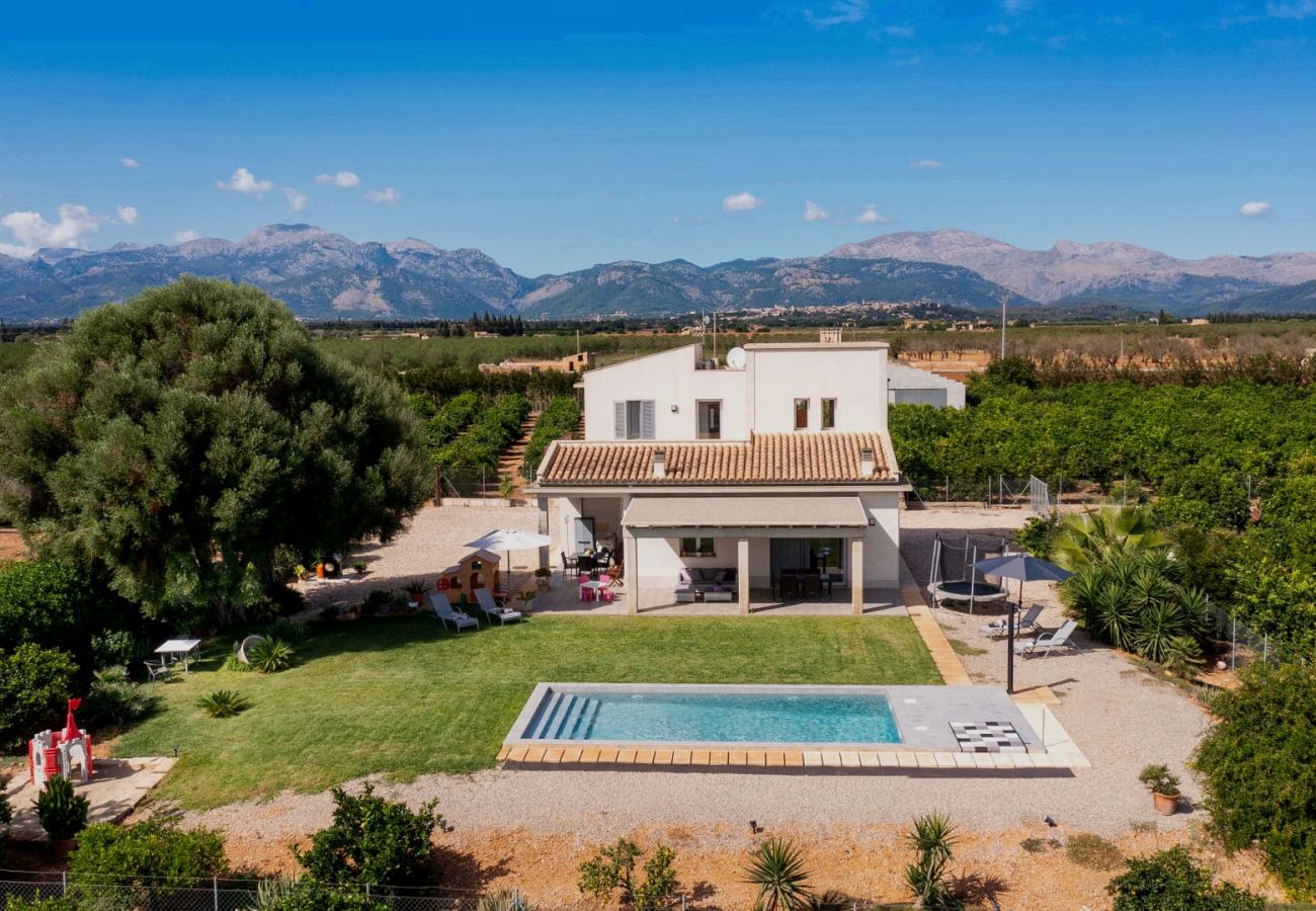 Finca in Llubi - C285 Albamar by Mallorca Villa Selection Finca in Llubi - C285 Albamar by Mallorca Villa Selection