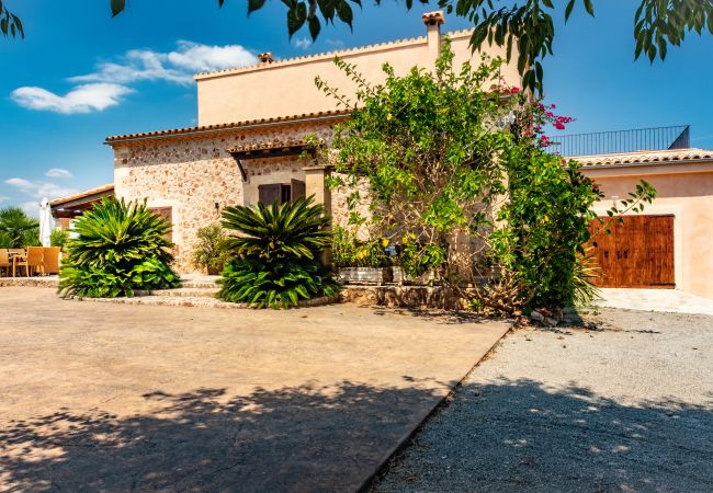 Finca in Can Picafort - C326 Carritx by Mallorca Villa Selection Finca in Can Picafort - C326 Carritx by Mallorca Villa Selection