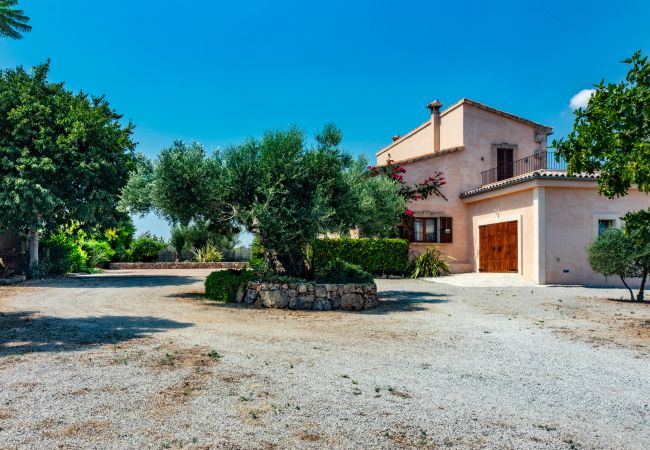 Finca in Can Picafort - C326 Carritx by Mallorca Villa Selection Finca in Can Picafort - C326 Carritx by Mallorca Villa Selection