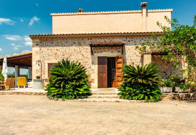 Finca in Can Picafort - C326 Carritx by Mallorca Villa Selection Finca in Can Picafort - C326 Carritx by Mallorca Villa Selection