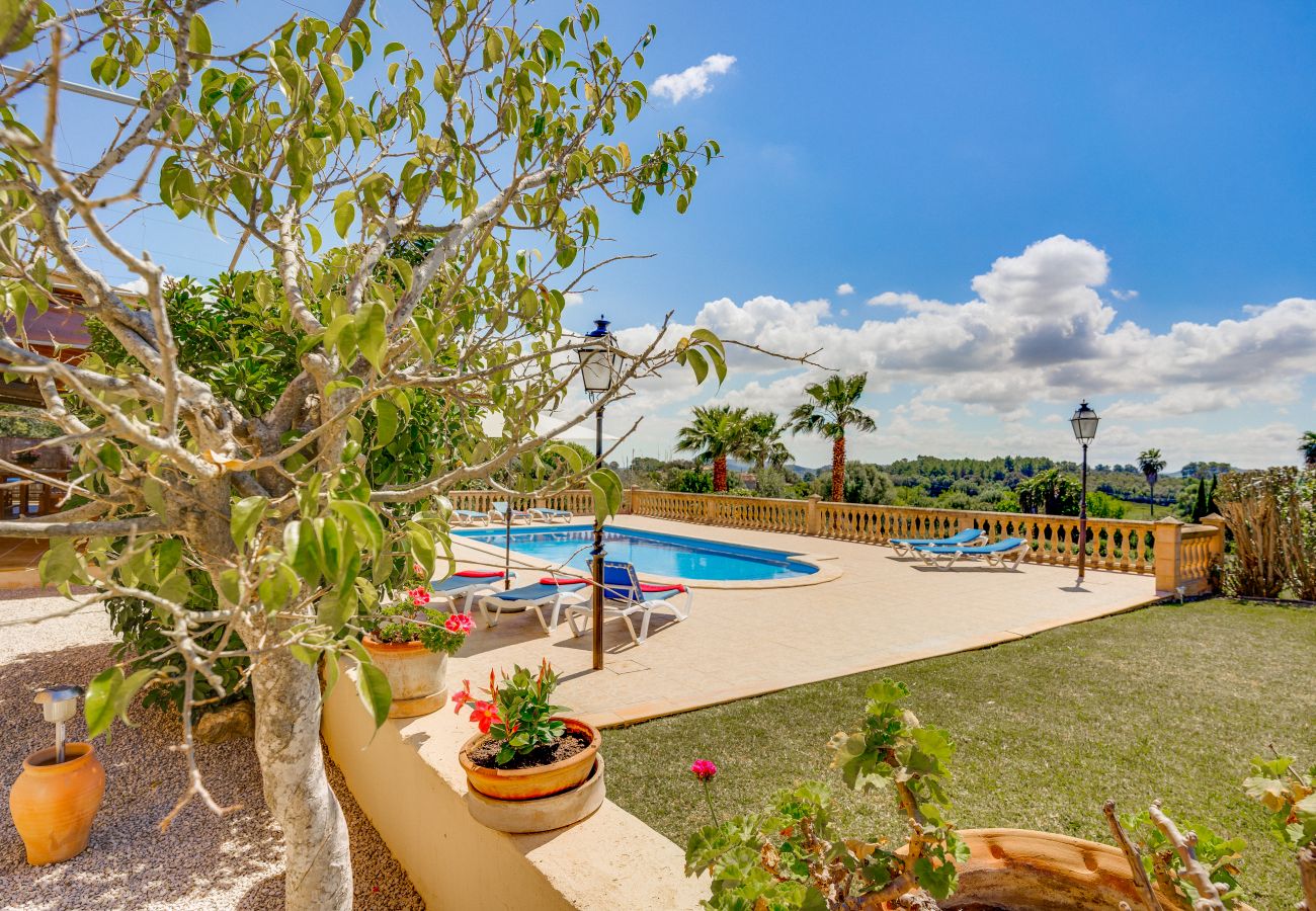 Finca in Lloret de Vistalegre - C344 Bielo by Mallorca Villa Selection Finca in Lloret de Vistalegre - C344 Bielo by Mallorca Villa Selection