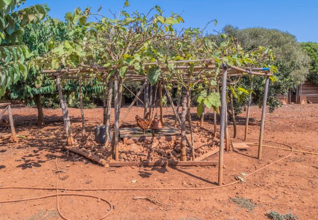 Finca in Cala Romantica - C363 Can Llorenc by Mallorca Villa Selection Finca in Cala Romantica - C363 Can Llorenc by Mallorca Villa Selection