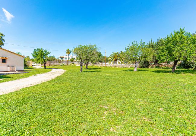 Villa in Alcudia - E392 Villa Gallina by Mallorca Villa Selection Villa in Alcudia - E392 Villa Gallina by Mallorca Villa Selection