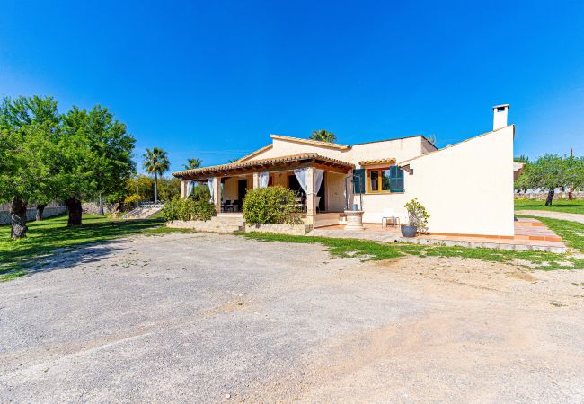 Villa in Alcudia - E392 Villa Gallina by Mallorca Villa Selection Villa in Alcudia - E392 Villa Gallina by Mallorca Villa Selection
