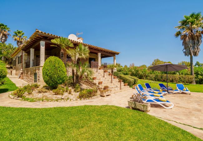 Villa in Alcudia - E381 Es Clos by Mallorca Villa Selection Villa in Alcudia - E381 Es Clos by Mallorca Villa Selection