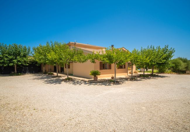 Villa in Santa Margalida - M410 Son Duri by Mallorca Villa Selection Villa in Santa Margalida - M410 Son Duri by Mallorca Villa Selection