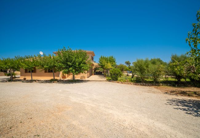 Villa in Santa Margalida - M410 Son Duri by Mallorca Villa Selection Villa in Santa Margalida - M410 Son Duri by Mallorca Villa Selection