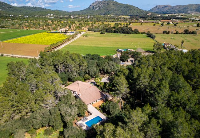 Villa in Sa Pobla - M409 Ferragut Crestatx by Mallorca Villa Selection Villa in Sa Pobla - M409 Ferragut Crestatx by Mallorca Villa Selection