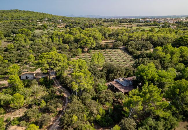 Ferienhaus in Alcudia - E430 Can Simo by Mallorca Villa Selection Ferienhaus in Alcudia - E430 Can Simo by Mallorca Villa Selection