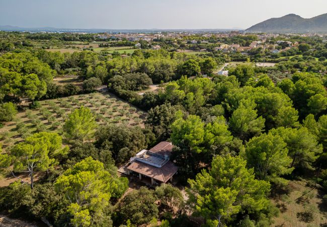 Ferienhaus in Alcudia - E430 Can Simo by Mallorca Villa Selection Ferienhaus in Alcudia - E430 Can Simo by Mallorca Villa Selection