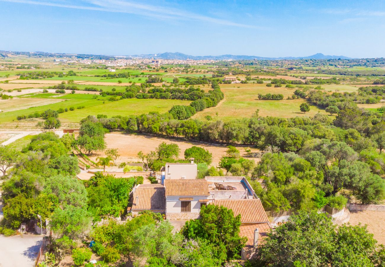 Finca in Petra - C346 Nines by Mallorca Villa Selection Finca in Petra - C346 Nines by Mallorca Villa Selection