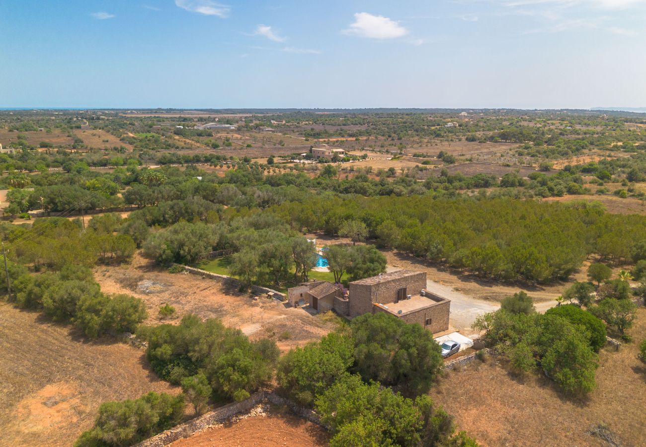 Villa in Es Llombards - E433 Villa Son Fumat by Mallorca Villa Selection Villa in Es Llombards - E433 Villa Son Fumat by Mallorca Villa Selection
