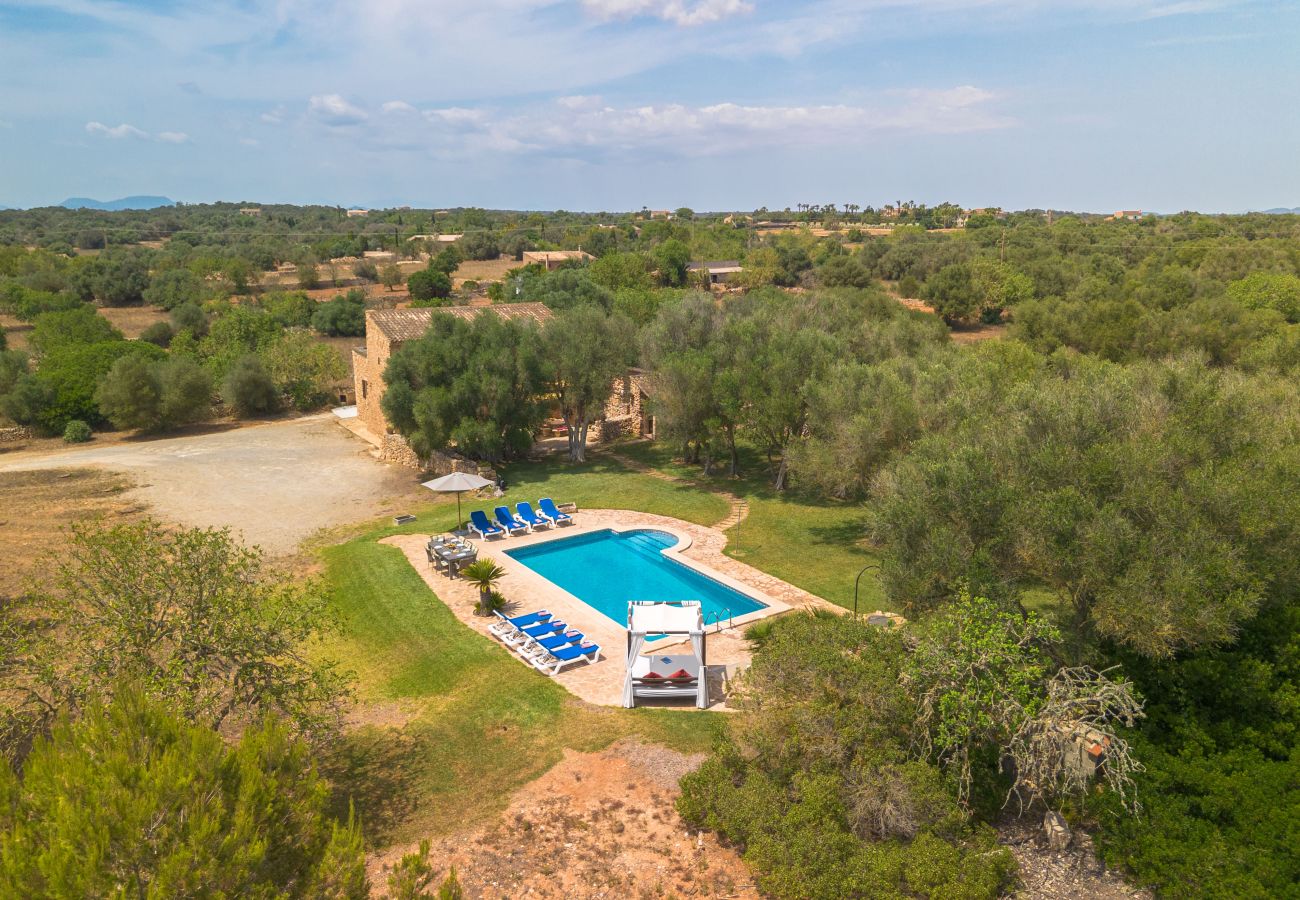 Villa in Es Llombards - E433 Villa Son Fumat by Mallorca Villa Selection Villa in Es Llombards - E433 Villa Son Fumat by Mallorca Villa Selection